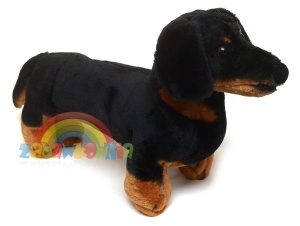 maskotka piesek duży jamnik czarny 40cm