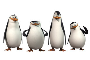 Pingwiny z Madagaskaru