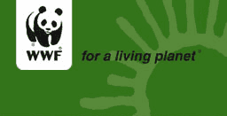 WWF Plush Collection - Pluszowe zwierzęta świata